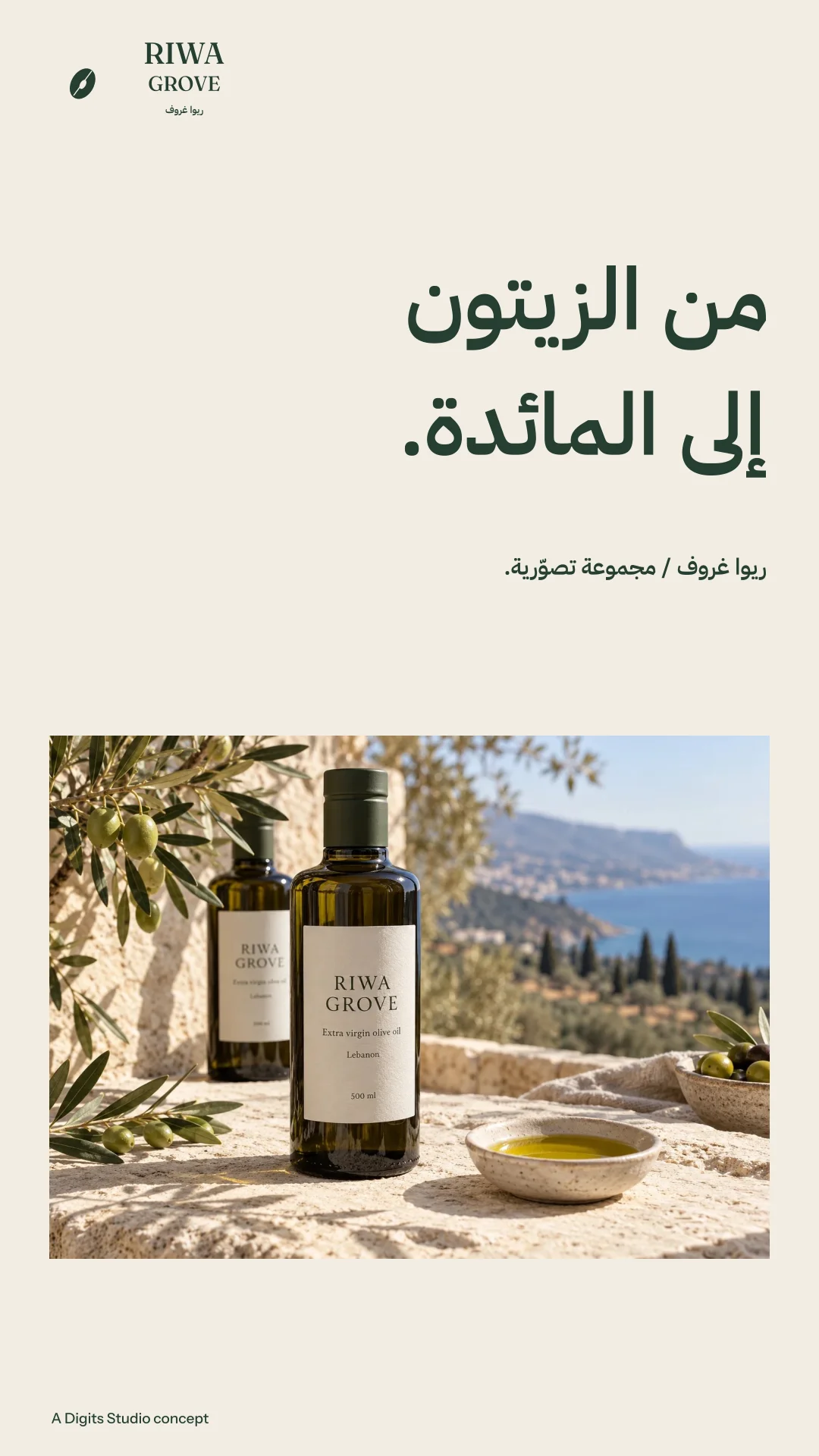 Arabic campaign story