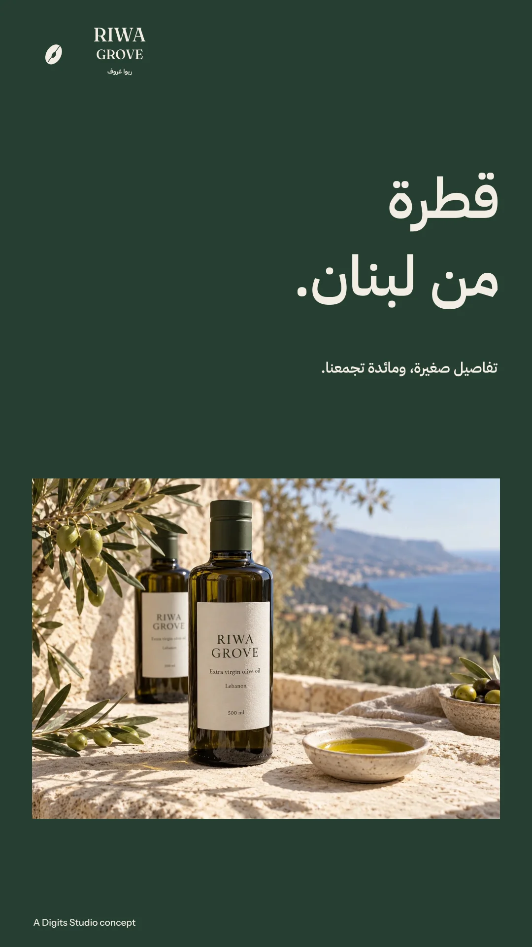 Arabic campaign story