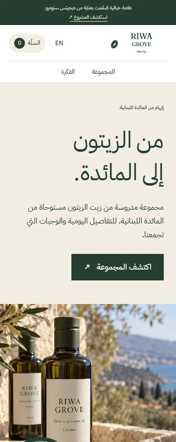 Mobile website preview